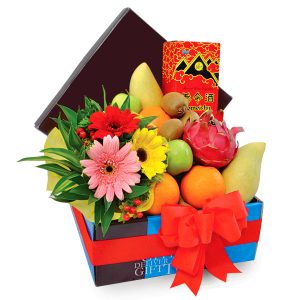 Fruit Hamper Malaysia - Healthy-Tonic get well soon gift hamper | FruitoGift