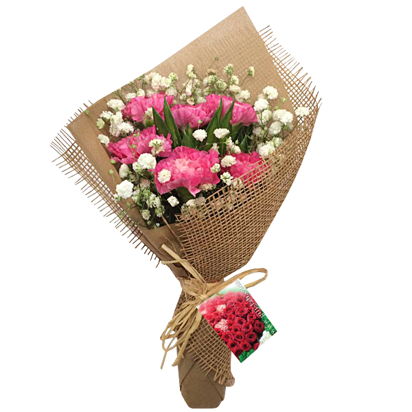 Flower Bouquet Merry Carnations - Fresh Flower Posy Hand Bouquet | FruitoGift