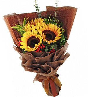 Sunflower Bouquet-Sunflower Ode hand bouquet delivery Malaysia | FruitoGift