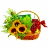 Fruit Basket Johor Delivery - Healthy Fresh Fruit Basket Johor Bahru